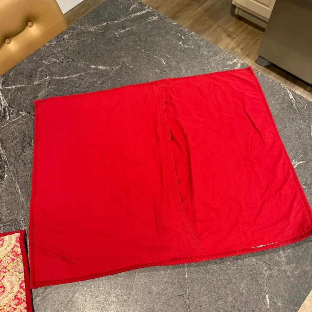 Pottery Barn Georgia paisley pillow standard shams red pink pair set